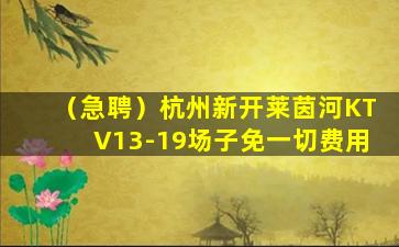 中山夜总会招聘